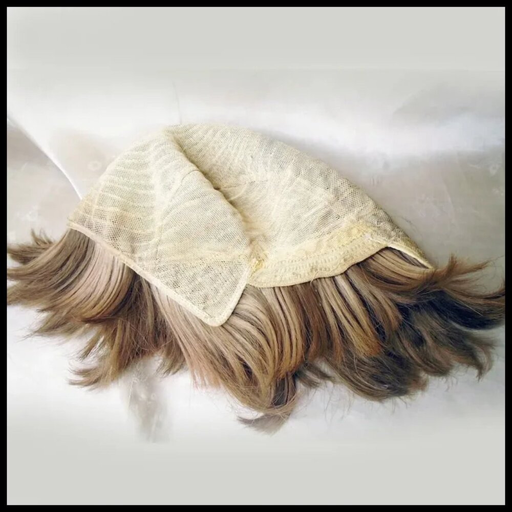 Shaggy Frosted Wig, Carousel Shag Glam Rock Tina Turner Hair - 70s Vintage - Picture 3 of 15